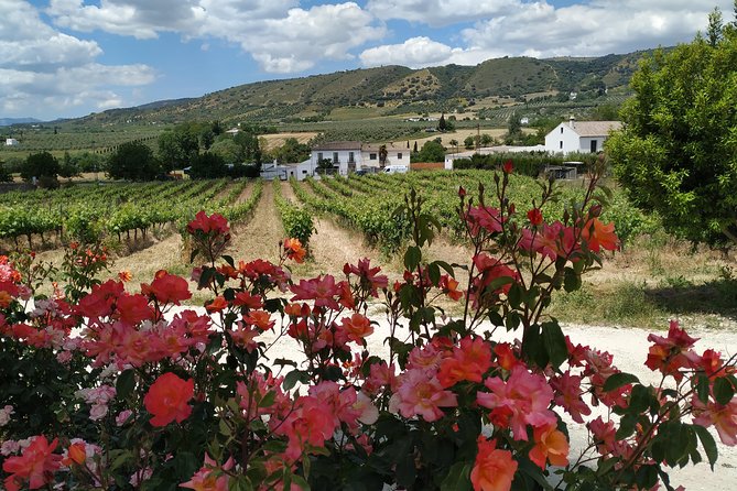 Private Excursion to Ronda From Costa Del Sol 7 Hours