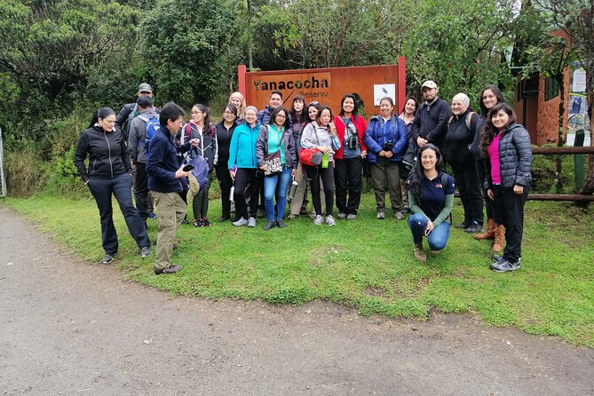 Private Excursion to Yanacocha Reserve- Bird Watch