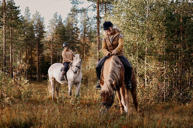 Private Finnhorse Riding in Rovaniemi, Finland With Guide - Overview of Private Finnhorse Riding