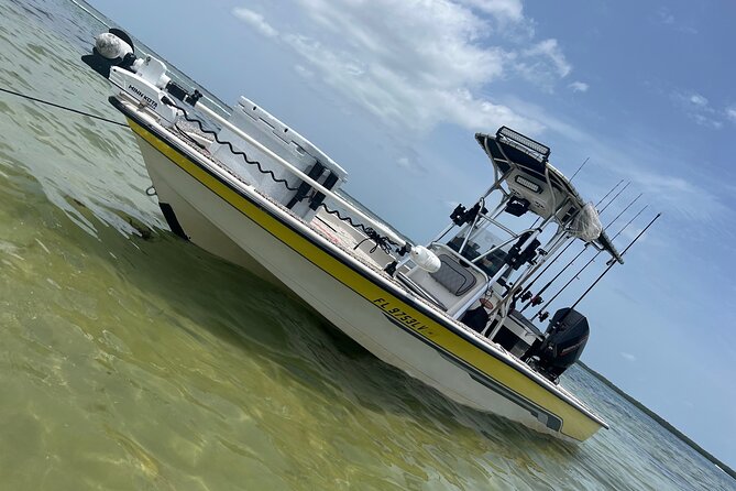 Private Fishing Charter in Tampa