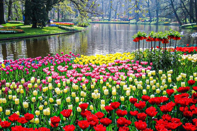 Private Flower Tour to the Keukenhof
