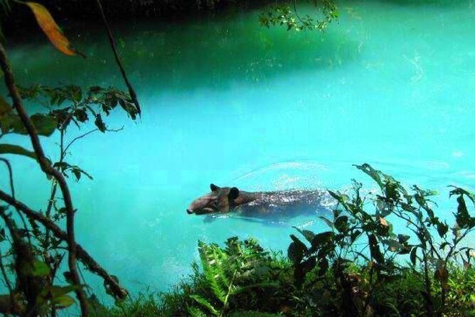Private Full Day Celeste River Hiking Experience With Lunch