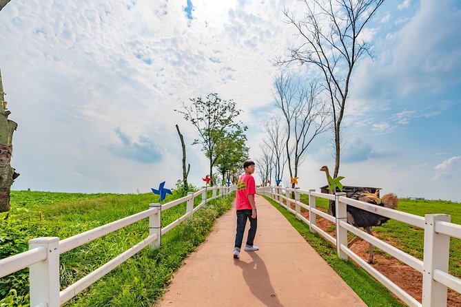 Private Full Day Tour Anseong Farm Land With Gwangmyeong Cave - Tour Overview