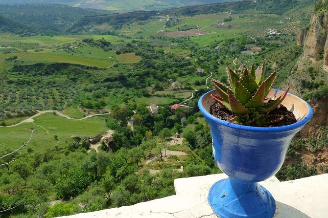 Private Full-Day Tour of Ronda From Marbella With Hotel Pick up