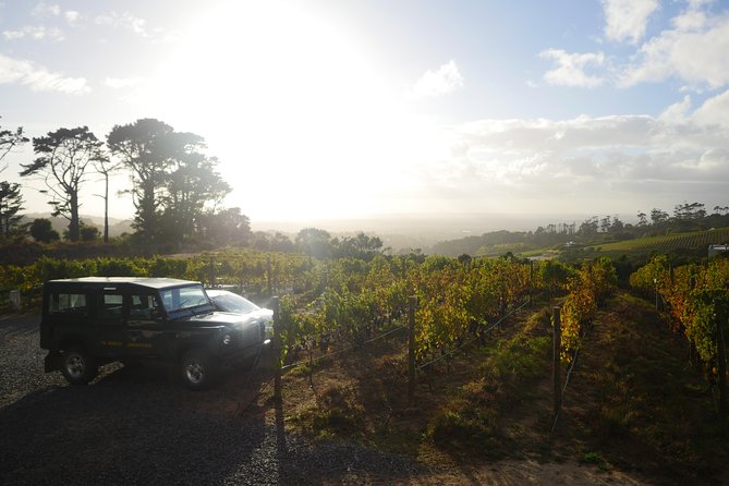 Private: Full Day Ultra-Premium Wine Tour From Cape Town to Constantia