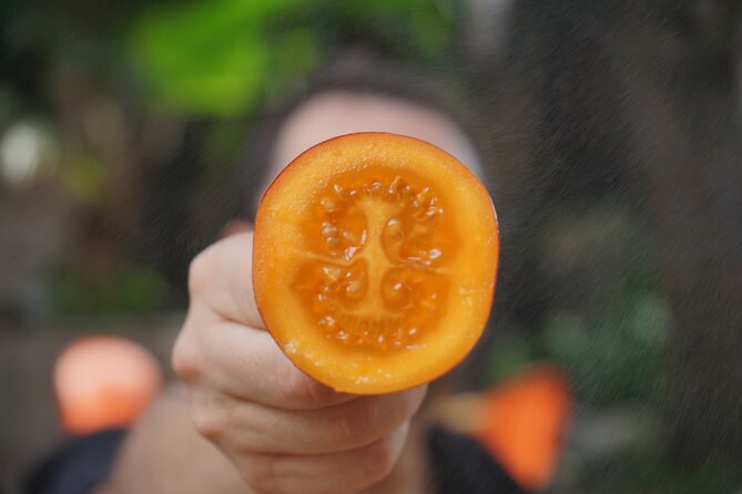 Private Getsemani Family Fruit Experience in Cartagena