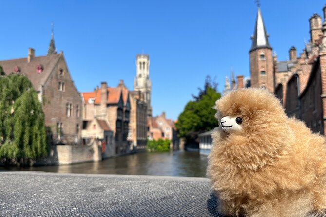 Private Guided Full-Day in Antwerp and Brussels With Tastings - Tour Overview