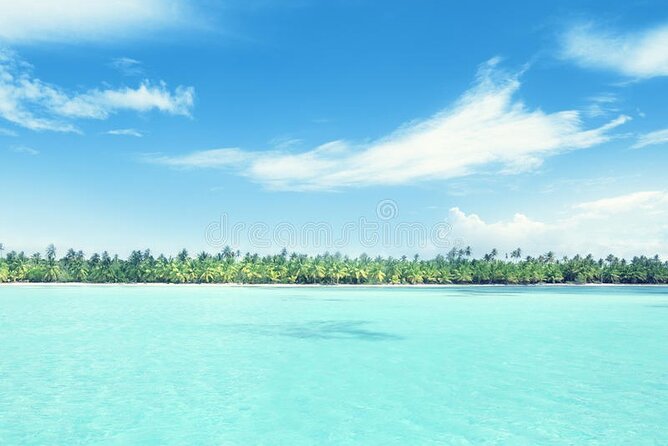 Private Guided Tour From Bávaro to Isla Saona by Speedboat Minimum 12 Pax - Tour Overview