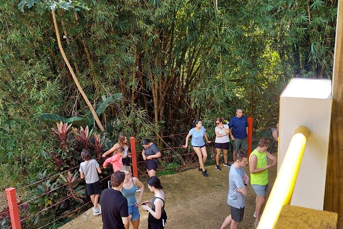 Private Guided Tour in Puerto Rico - Tour Overview