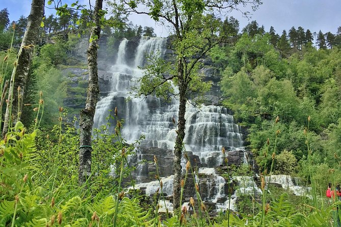 PRIVATE GUIDED TOUR: the Heart of Norway – Viking Special, 8-9 Hours – SUMMER