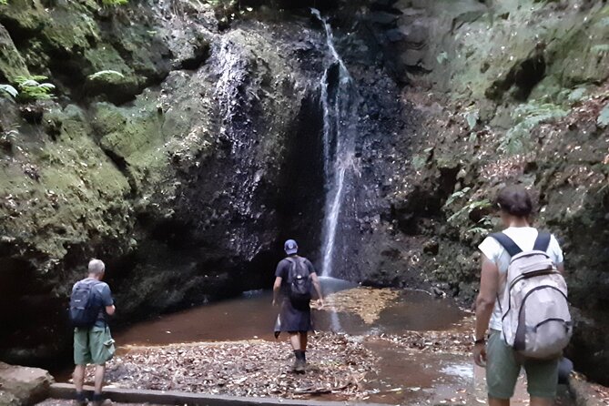 Private Guided Walk Levada Brasileiro – Levada Do Moinho - Participant Information