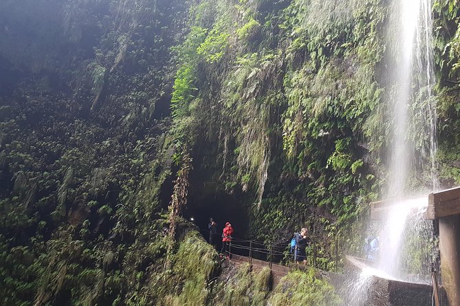 Private Guided Walk Levada Ribeira Da Janela