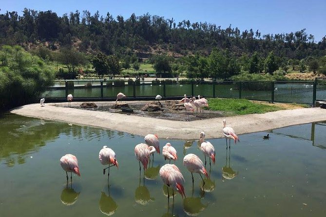 Private Half Day Tour in Santiago