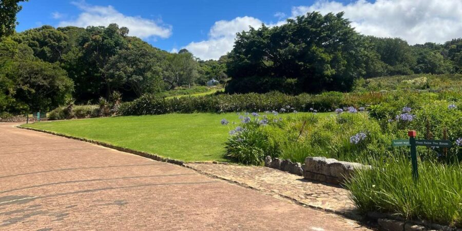 Private Half-day Tour of the Cape Winelands in Stellenbosch