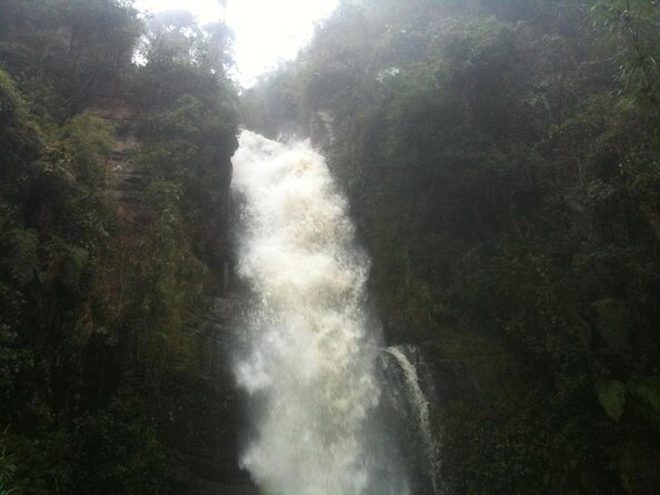 Private Hiking Tour La Chorrera Waterfall in Colombia