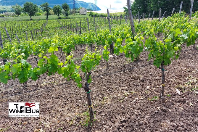 Private Irpinia Gourmet Tour From RAVELLO With Sommelier