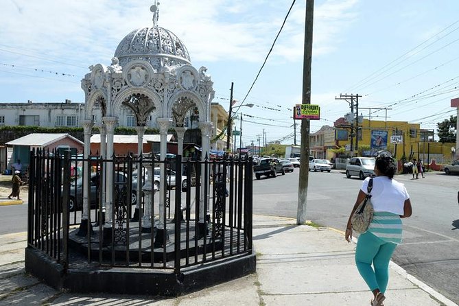 Private Jamaica West Heritage Sightseeing Tour - Overview of the Tour