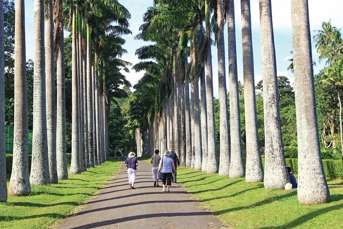 Private Kandy Tour by Air-Conditioned Car: Do It All in One Day