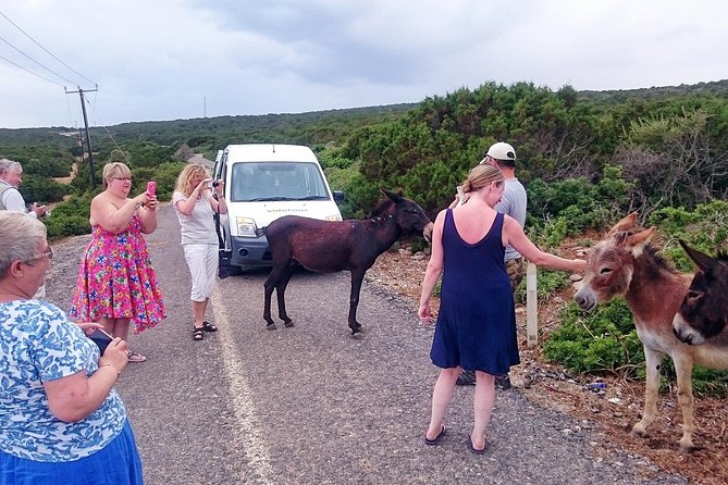 PRIVATE KARPAZ TOUR From Kyrenia
