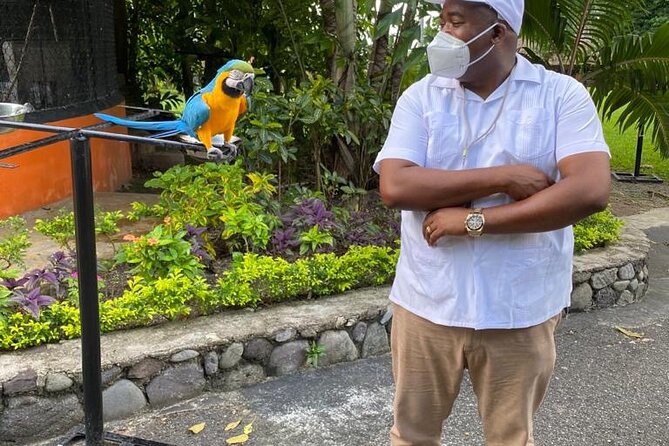 Private Konoko Falls and Dunns River Combo Tour From Ocho Rios