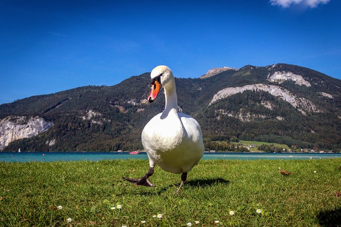 Private Lake District, St. Wolfgang and St. Gilgen Tour