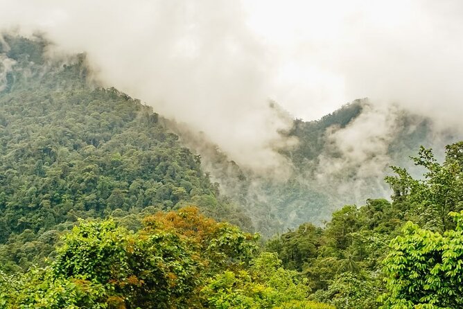 PRIVATE Mindo Cloud Forest Tour
