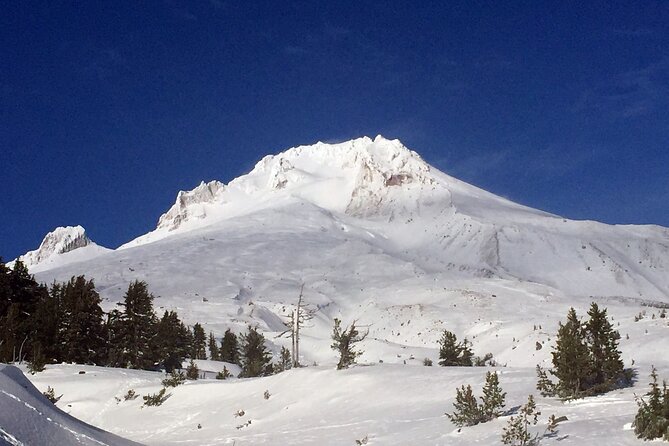 Private Mt Hood Waterfall Tour With Lunch and Wine Included