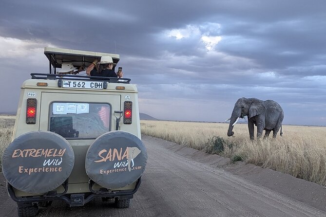 Private Multi Day Tour Tanzania Safari