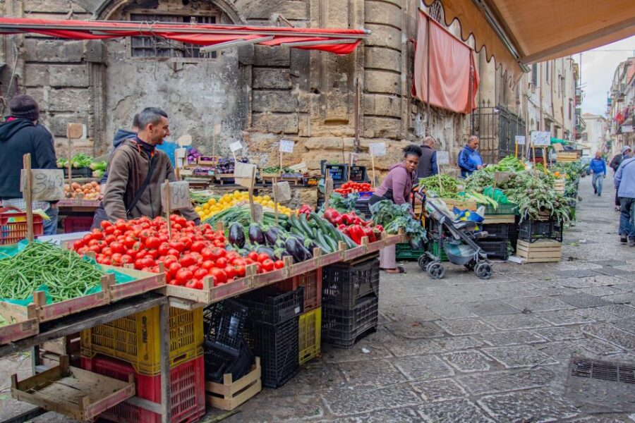 Private Photographer Shooting + Sightseeing & Tasting Tour