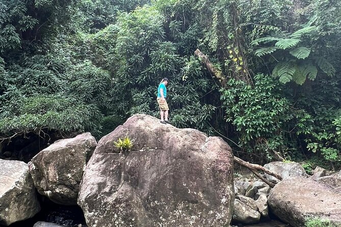 Private Rainforest Natural Water Slide and Beach Combo