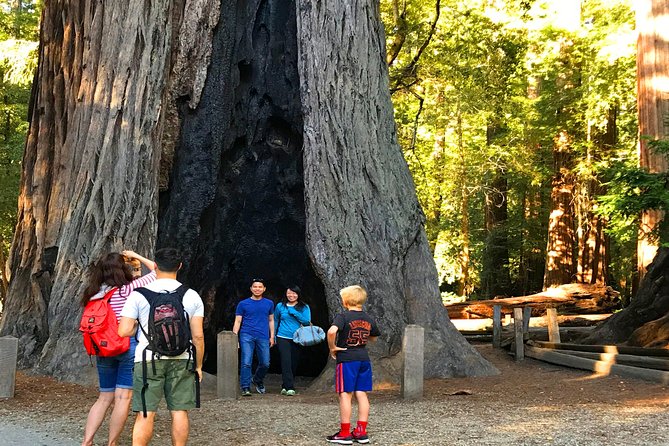 Private Redwoods Tour & Beach Horseback Riding Experience From San Francisco