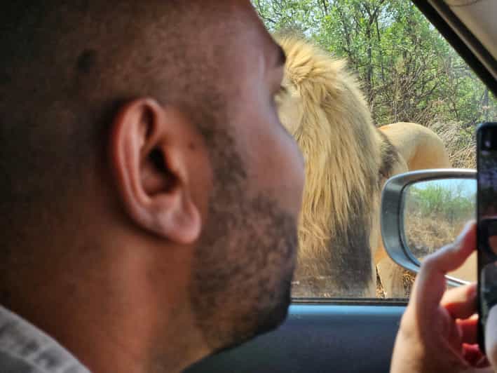 Private Safari Tour: Pilansberg National Park Big 5