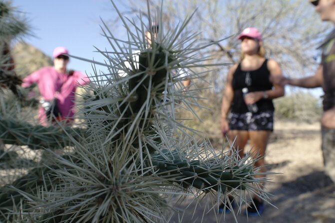 Private Scottsdale Day Hiking Tour