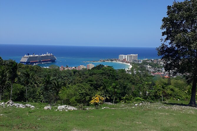 Private Sightseeing Tour in Ocho Rios