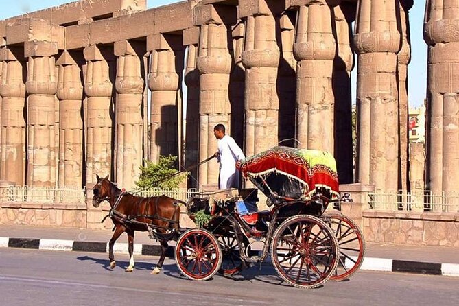 Private Sound and Light Show and Luxor City Tour by Carriage (3 * 1)