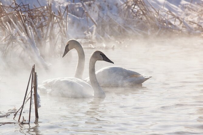 Private Sunrise Winter Tour of Grand Teton National Park
