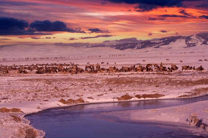 Private Sunset Winter Tour of Grand Teton National Park