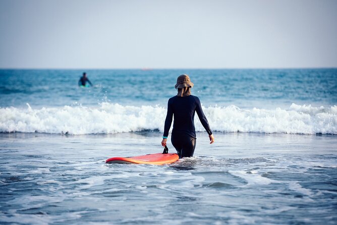 Private Surf Lessons Tour in Guadeloupe