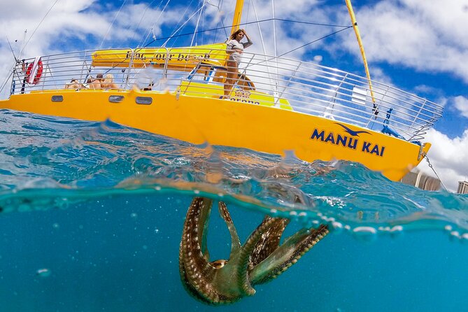 Private Swim and Sail Charter (Kewalo Harbor)