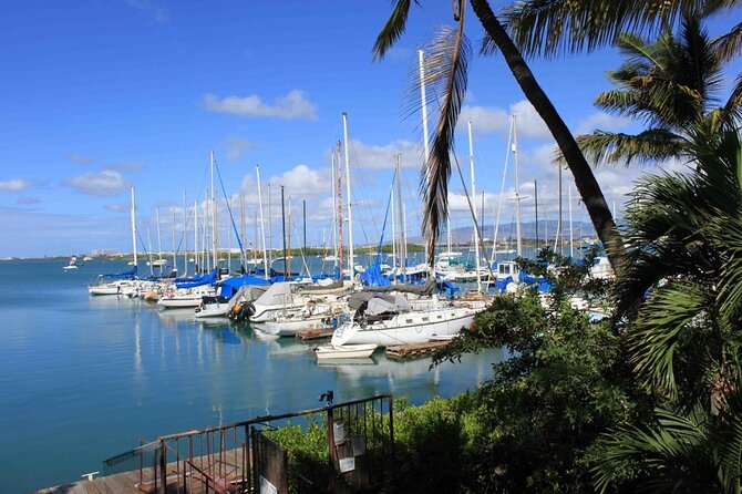 Private Tiki Bar Sunset Cruise in Honolulu
