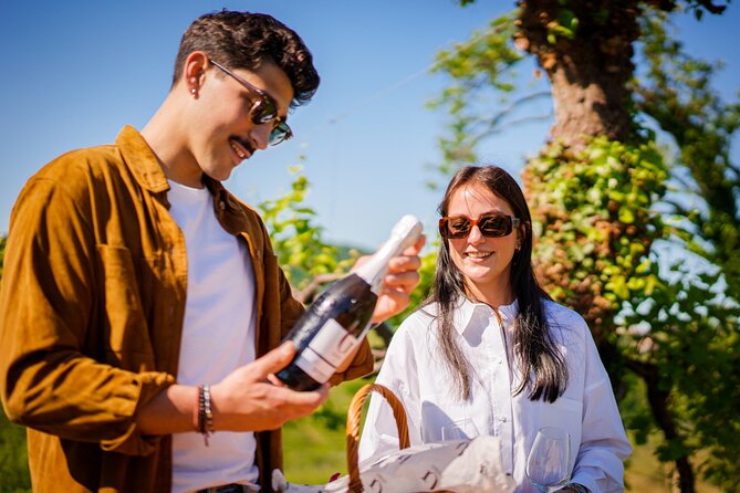 Private Tour and Goblet Walking in the Valdobbiadene Vineyards