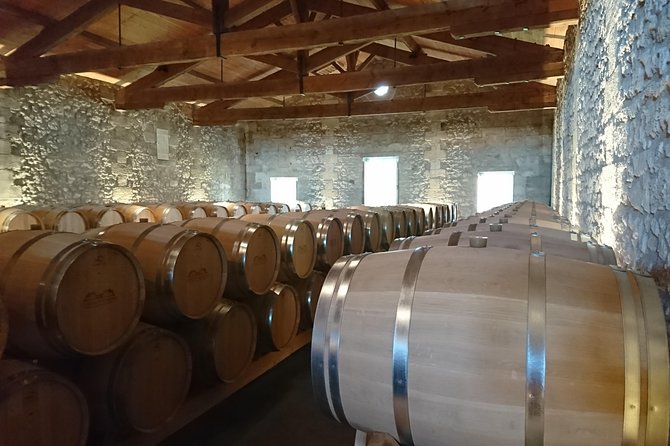 Private Tour and Visits on the Medoc Castle Route (Luxury Minivan)