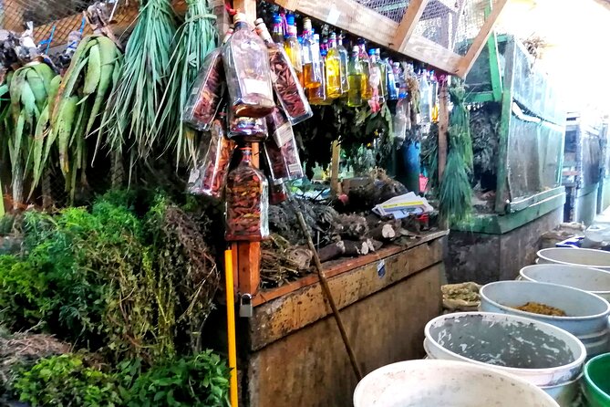 Private Tour: Cocoa, Coffee, Local Market and Cigars Factory