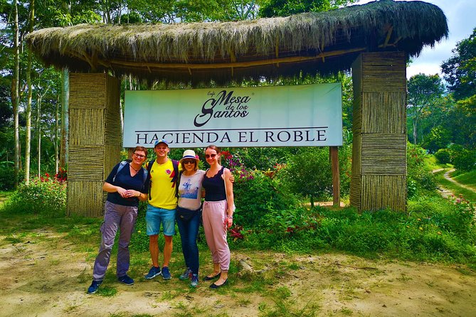 Private Tour - Coffee Tour (Cultivations) - Tour Overview
