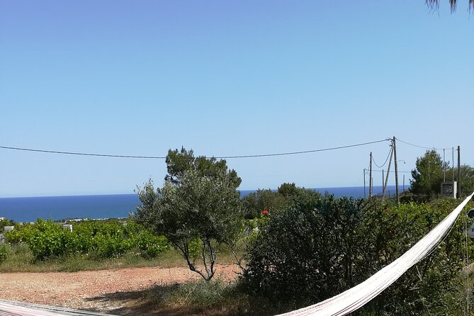 Private Tour: Discover the Secret World of Olives in Afantou - Meeting and Pickup Details