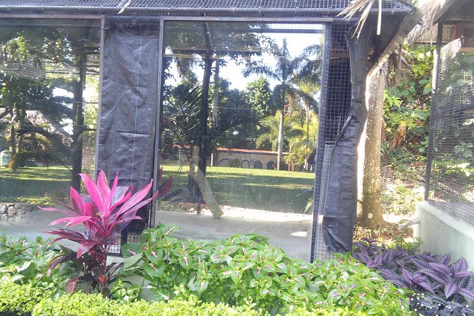 Private Tour From Ocho Rios To Konoko Falls And Garden and Shopping