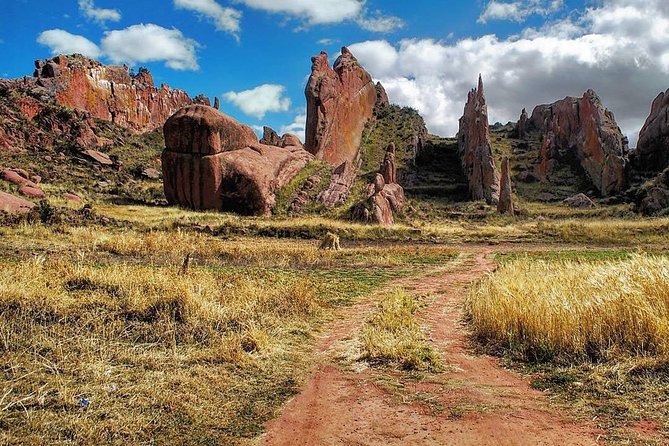 Private Tour From Puno to Tiwanaku