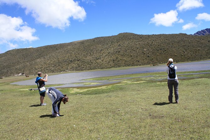 Private Tour From Quito to Cotopaxi Volcano + Rose Plantation