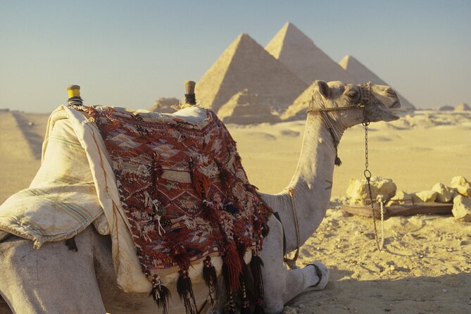 Private Tour Giza Pyramids, Sakkara, Memphis, Lunch & Camel Rides