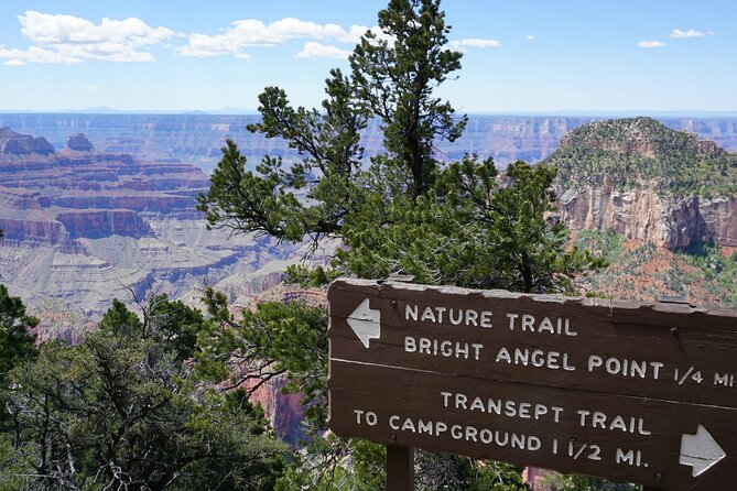 Private Tour: Grand Canyon North Rim Day Tour From Las Vegas